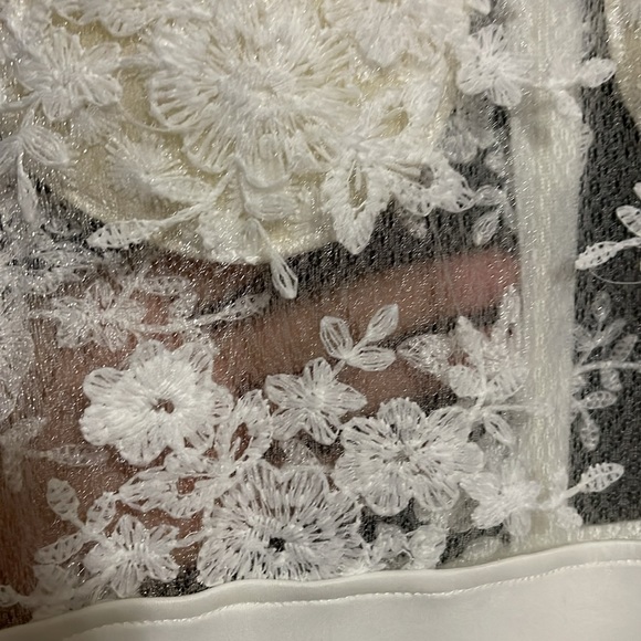 NWOT…Sheer Laced topped Wedding/formal dress - Picture 7 of 7